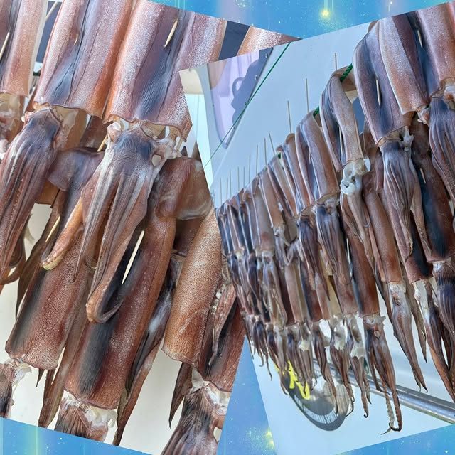 こんにちは(*ˊᗜˋ*) ﾉ 昨日もご来店ありがとうございます☺️ オーナーがイカ🦑釣ってきましたぁ〜😁 釣ったイカを船で捌き、船で干す事で海風のお陰で程よい塩味がつき、プリプリで最高に美味しいイカの一夜干しが完成します！シンプルに七味マヨ｜飲み食い横丁なべすけ 公式Instagram
