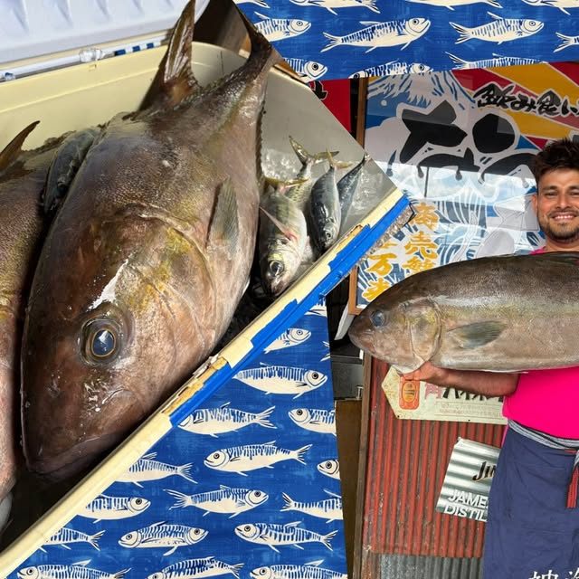 こんにちは(*ˊᗜˋ*) ノ 昨日もご来店ありがとうございます☺️ オーナーがお魚つってきましたよぉ〜‼️ でッッッッッかい!カンパチです!🤣 脂のノリもとても良かったでっせ〜😆 是非食べに来てくださいね〜🥰 本日も皆様のご来店心よりおまち|飲み食い横丁なべすけ 公式Instagram
