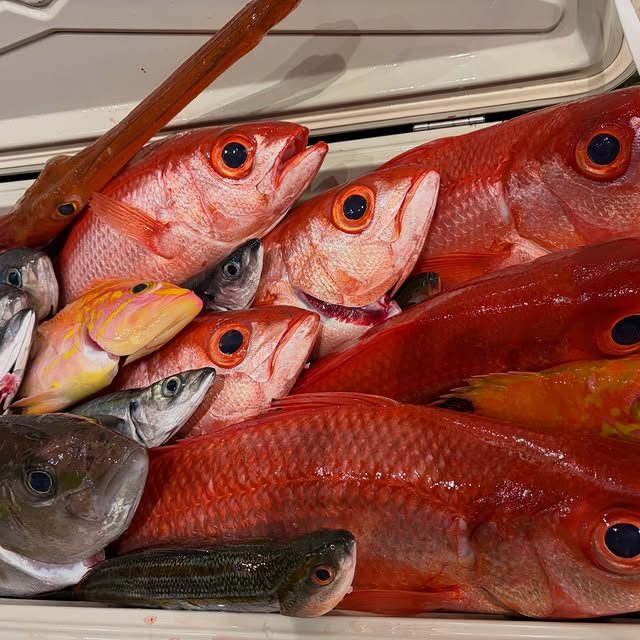 こんにちは(*ˊᗜˋ*) ﾉ 昨日もご来店ありがとうございます☺️ オーナーがお魚つってきました！！ 尾長鯛、ウメイロ、カンパチ、ムロアジ、赤イサキ、ヤガラetc…とにかく沢山です！🤣 釣れたて天然鮮魚達を沢山食べて行ってくださいませ！ 本｜飲み食い横丁なべすけ 公式Instagram